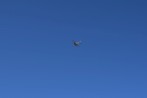 DSC_3204.jpg
