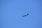 DSC_3263.jpg