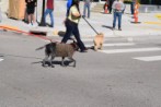 DSC_3308.jpg